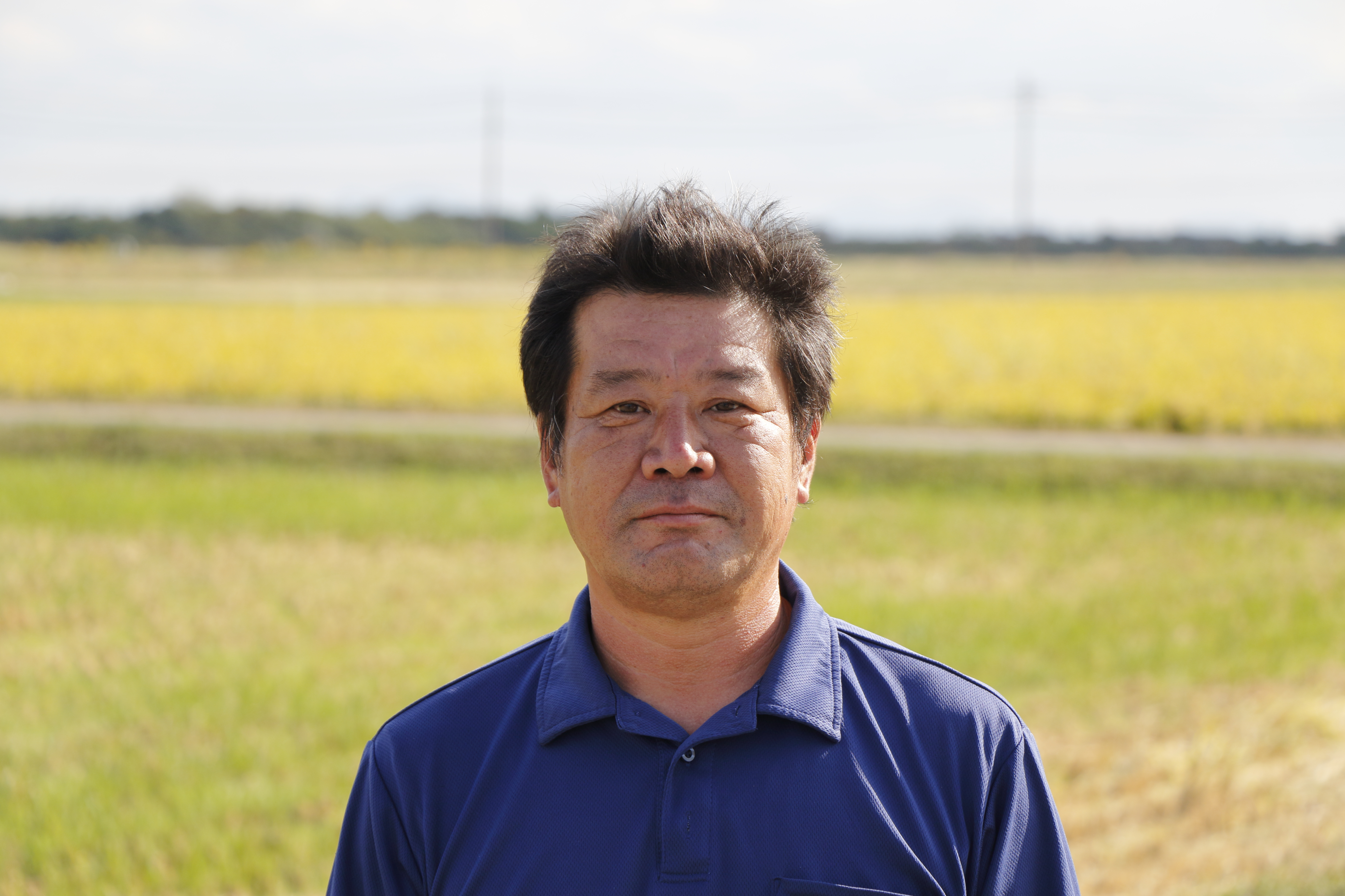 水稲のウンカ対策に。即効性・残効性に優れる育苗箱用殺虫成分ピラキサルト™