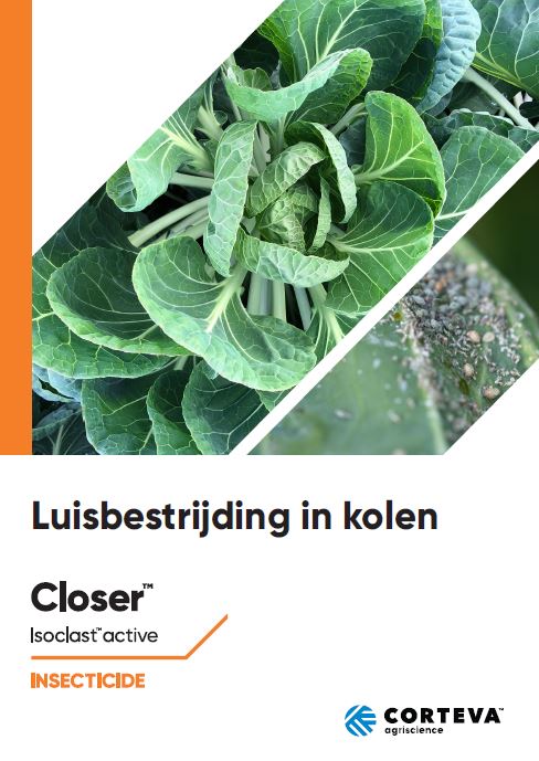 Luisbestrijding in Kolen