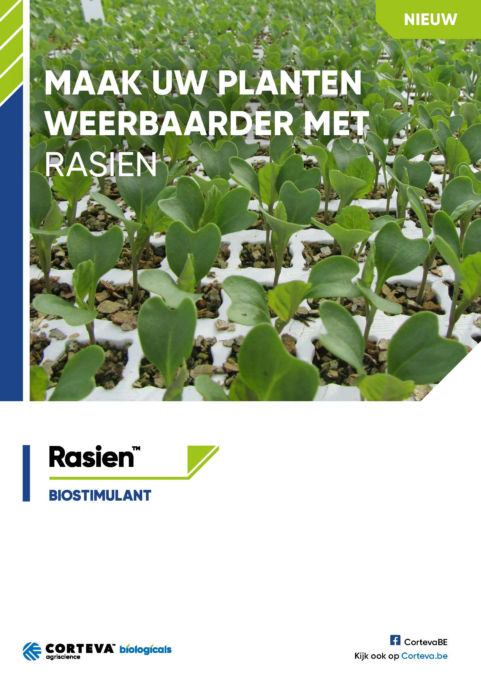 Brochure Rasien 2023 voorpagina
