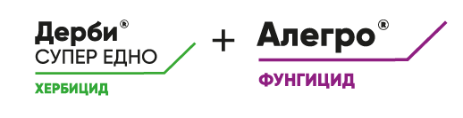 Дерби® Супер Eдно и Алегро® на уникална цена за сезон 2020