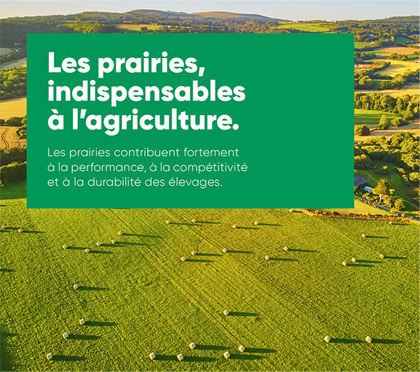 Le désherbage, aide à limiter la perte de graminées ou légumineuses.