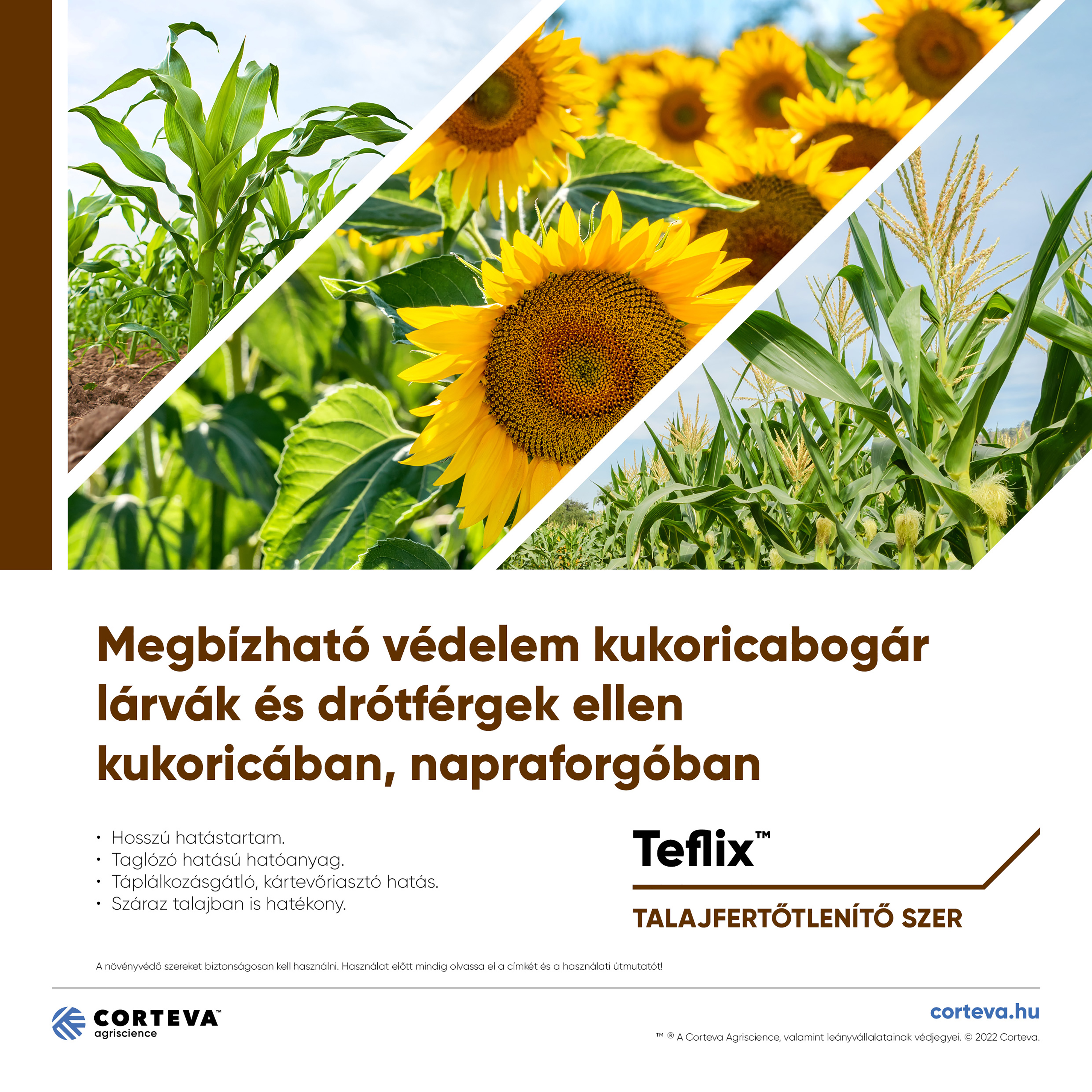 Teflixcoverdocucover