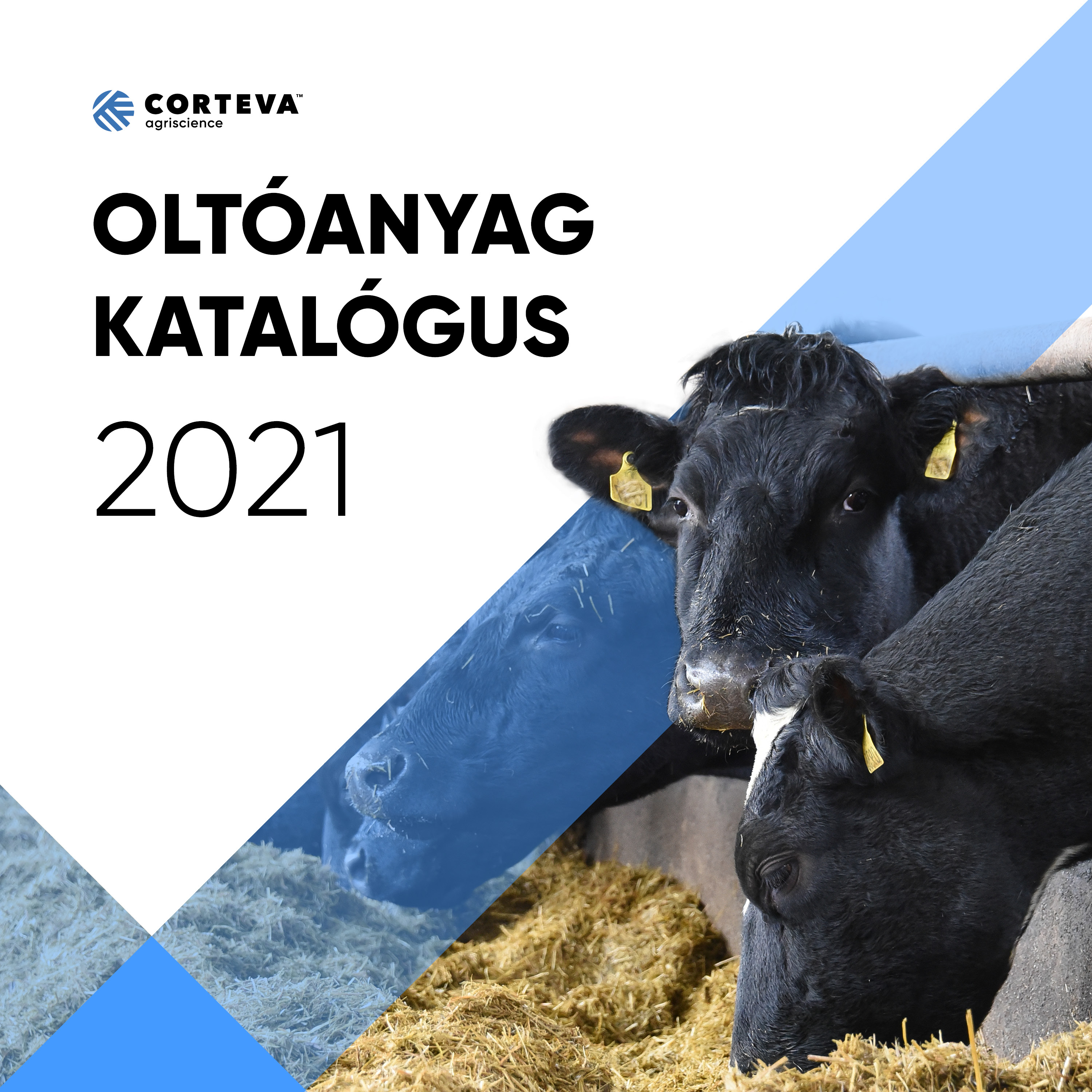 Otoanyag_kiadvany_borito_3000×3000_new_111