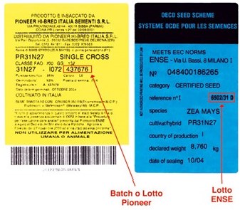 cartellino giallo italiano