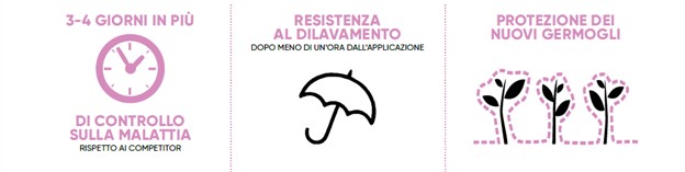 infografica sui benefici di Zorvec