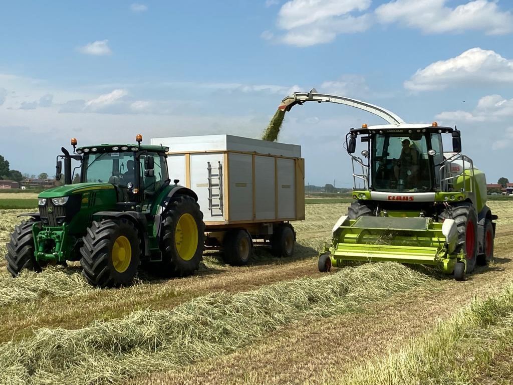 immagine di trinciatura e insilamento