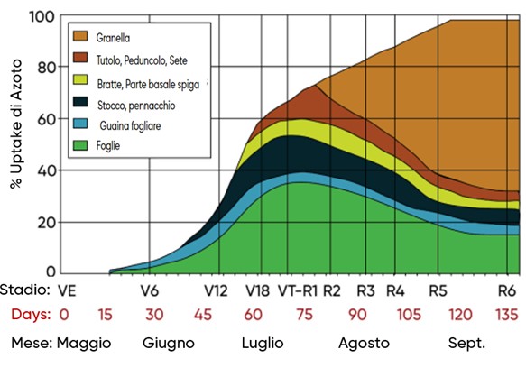 grafico con perdite di azoto in primavera sul mais