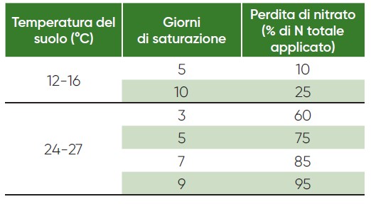 tabella con perdite di azoto in primavera sul mais