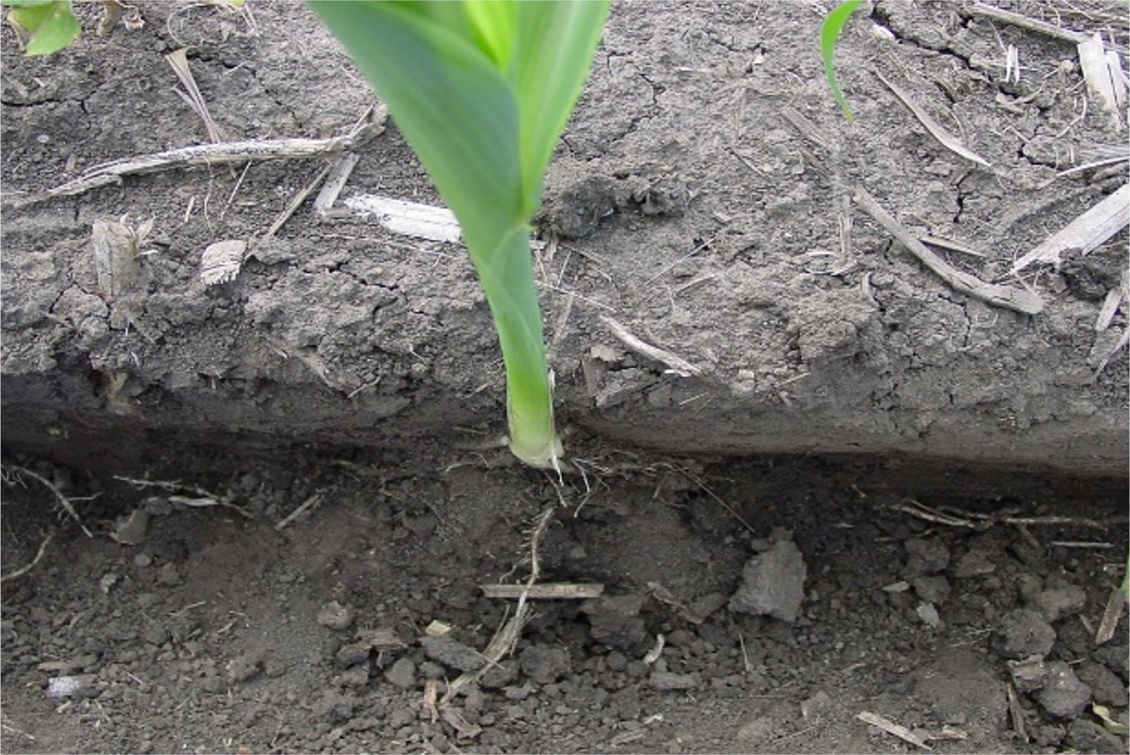 come valutare se il suolo è pronto alla semina