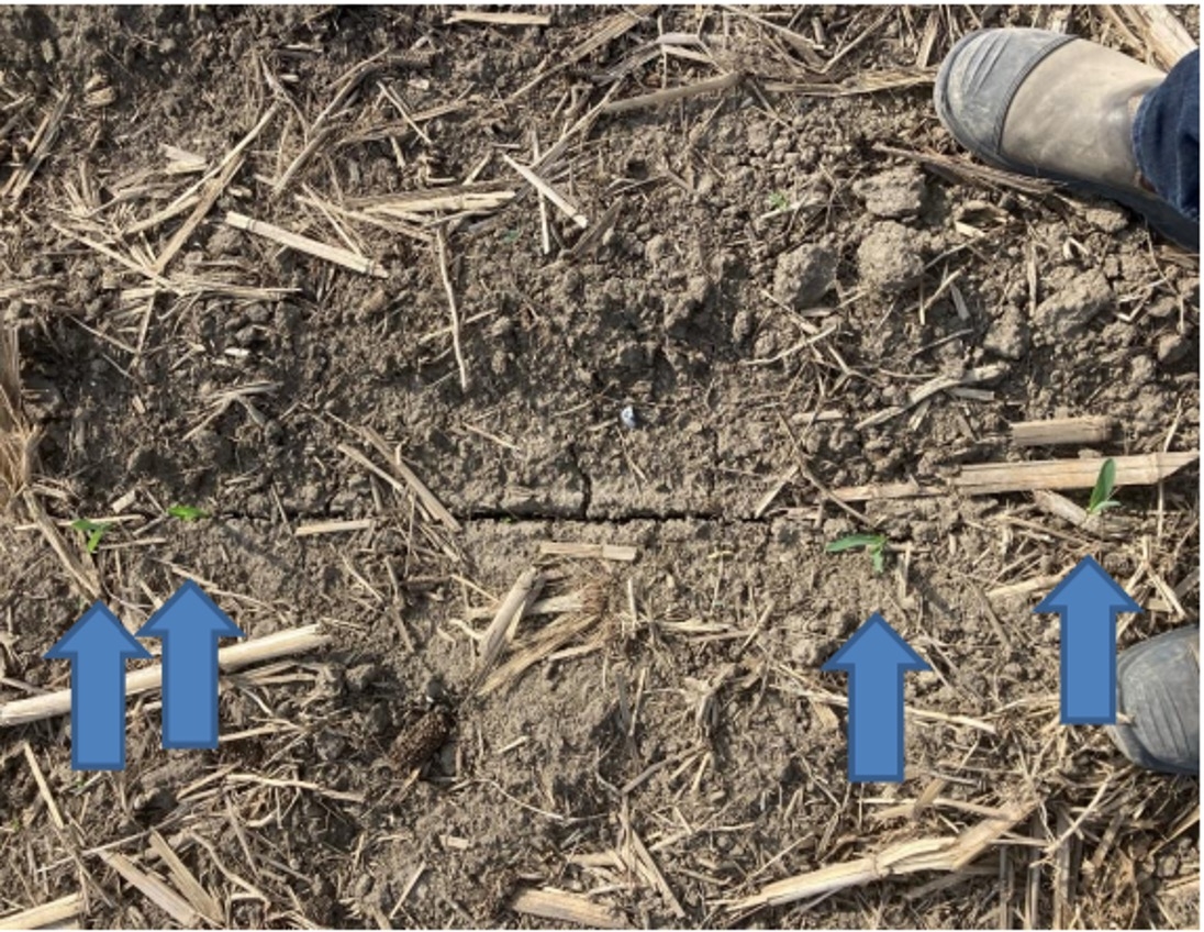 come valutare se il suolo è pronto alla semina