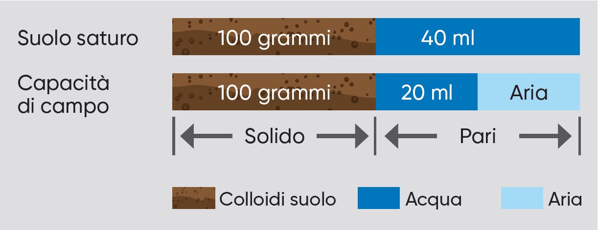 dati ed effetti del ristagno idrico primaverile sul mais