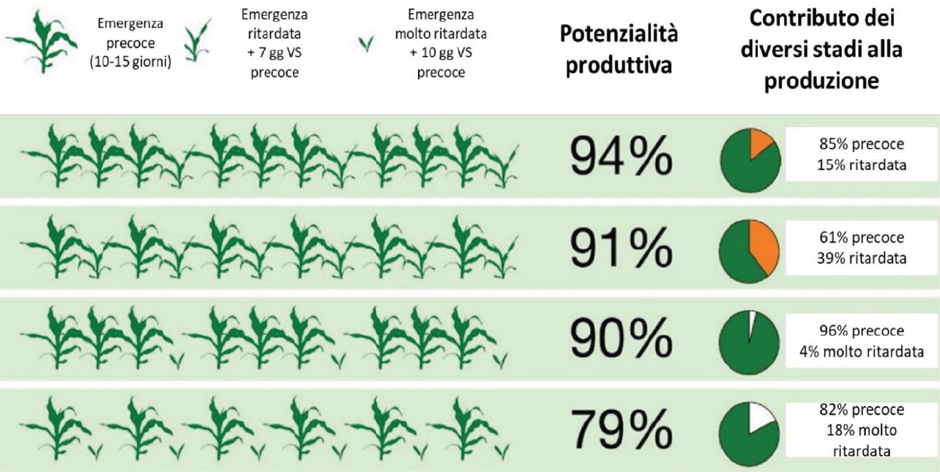 dati ed effetti del ristagno idrico primaverile sul mais