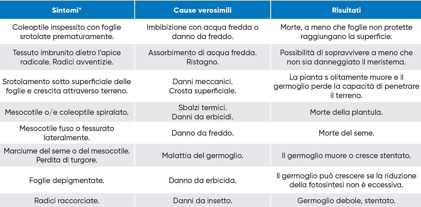 dati ed effetti del ristagno idrico primaverile sul mais