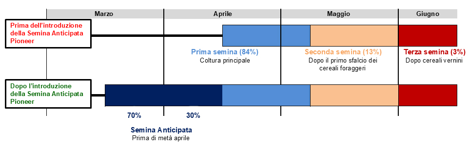 immagine storica del mais e della maiscoltura