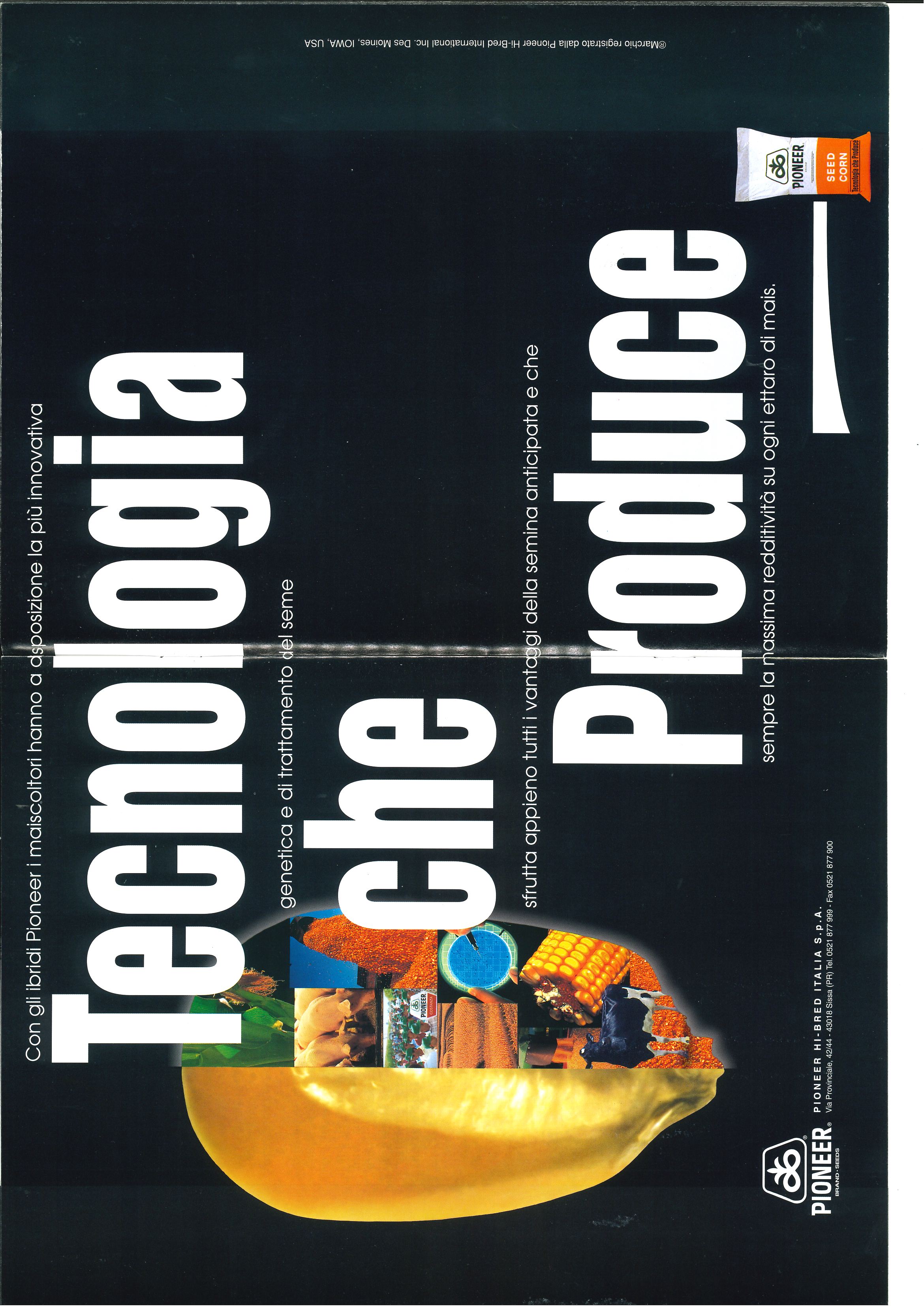 immagine storica del mais e della maiscoltura