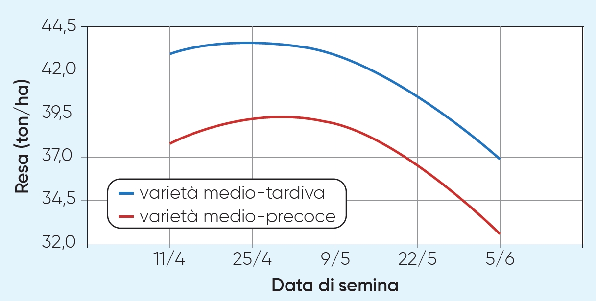 semina ritardata della soia