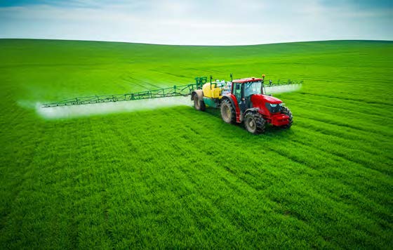 trattamento del frumento