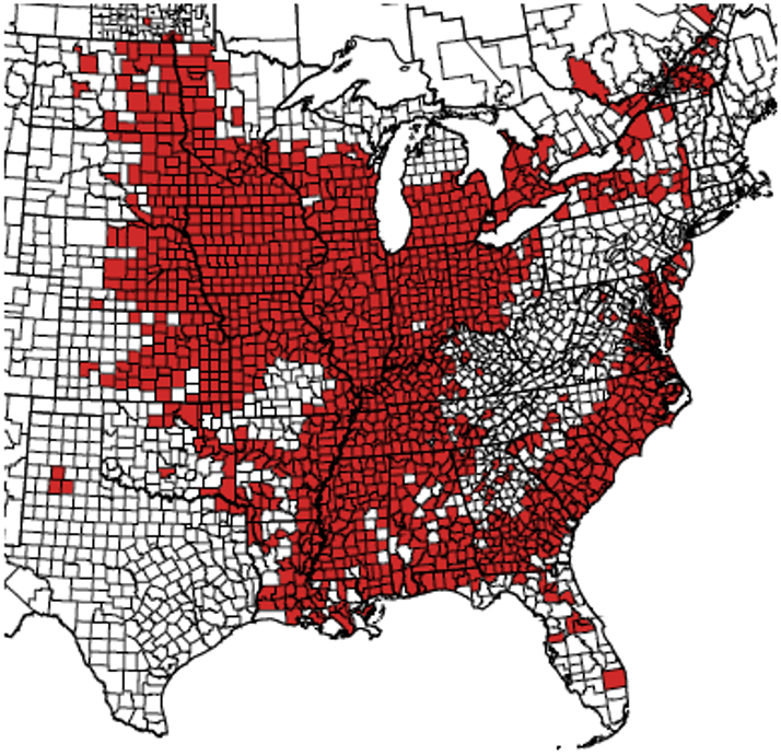 nematode cisticolo della soia e suoi effetti sulla coltura