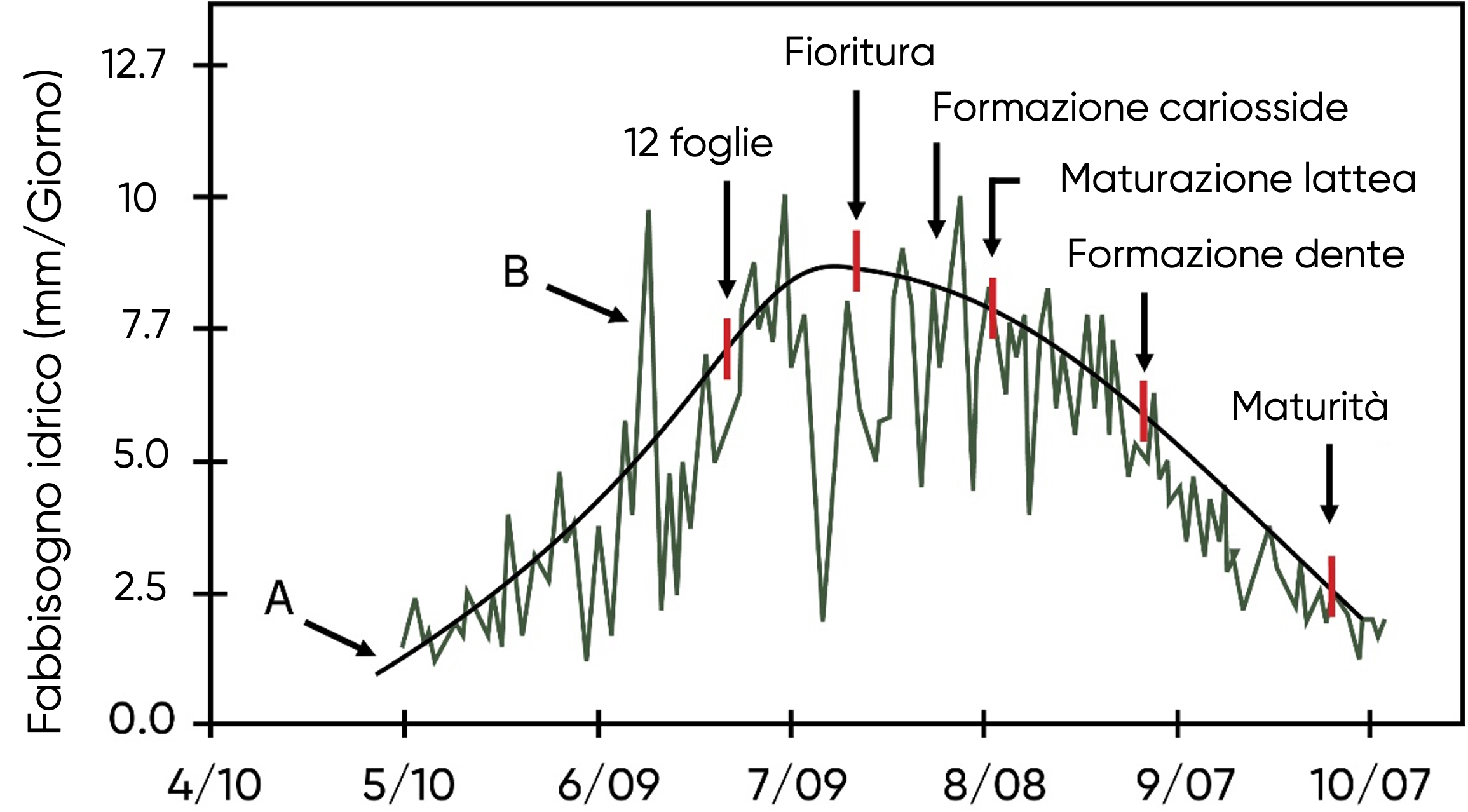 dati sul fabbisogno idrico del mais durante la stagione