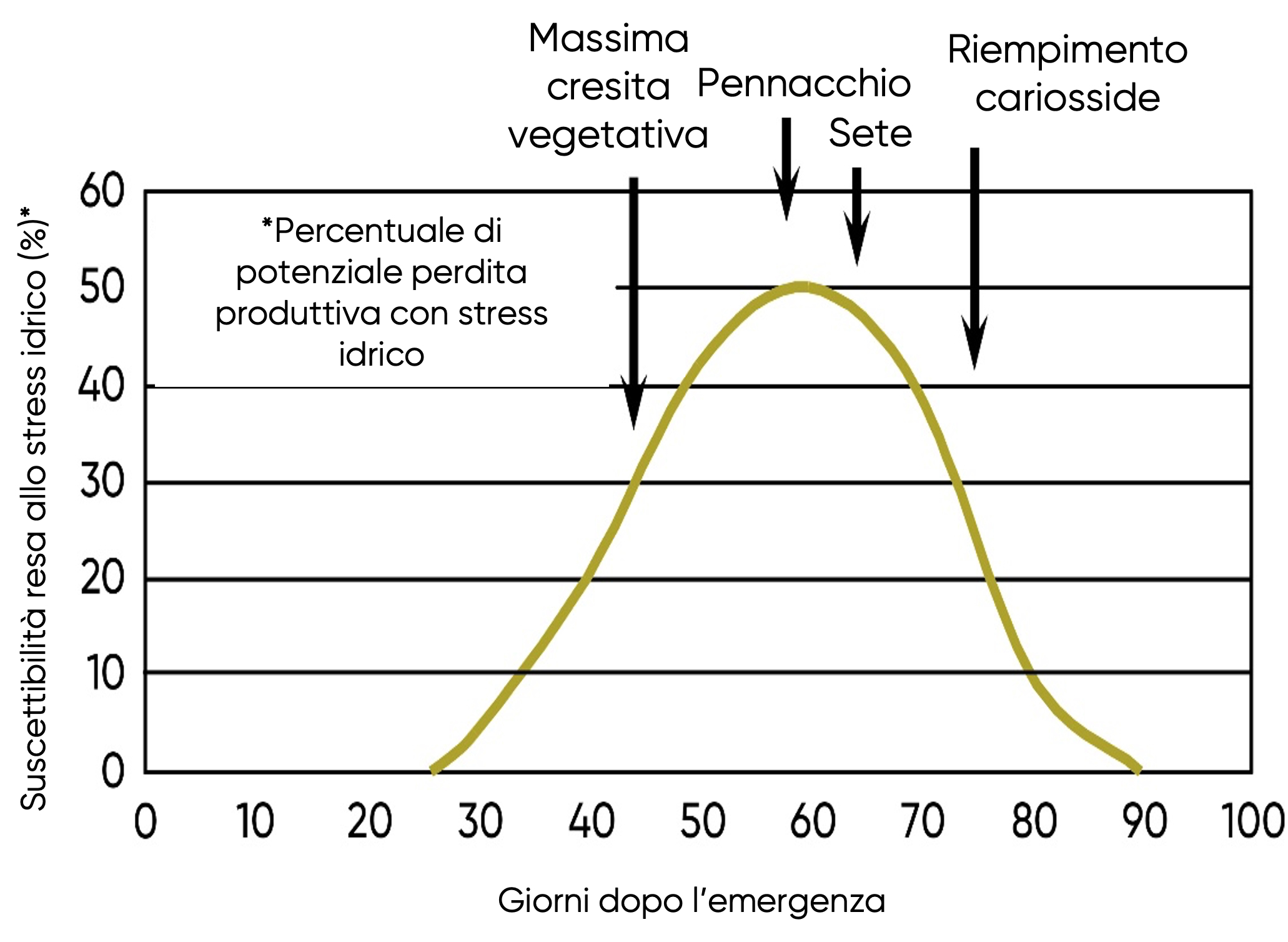 dati sul fabbisogno idrico del mais durante la stagione