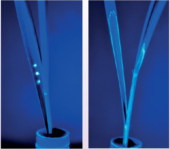 Inatreq active e tecnologia i-Q4