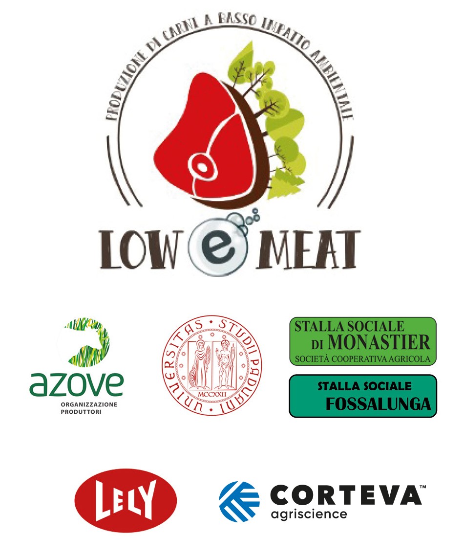 logo Low e meat