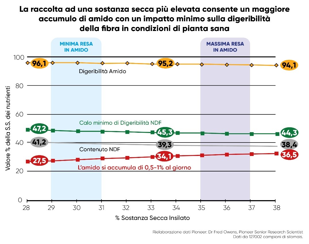 Effetto dell'aumento della sostanza secca sulla qualità del silomais