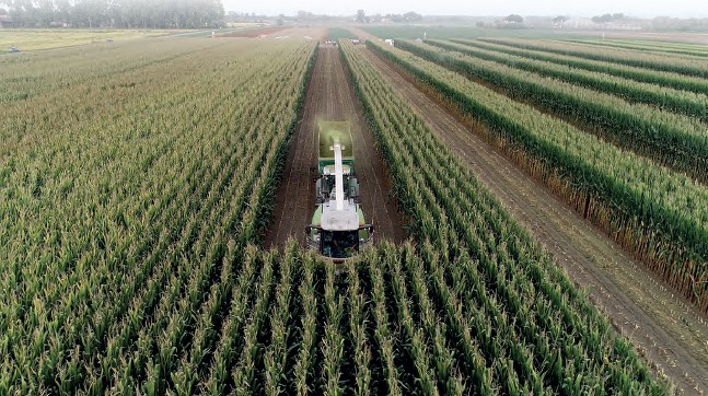 analisi degli insilati in azienda