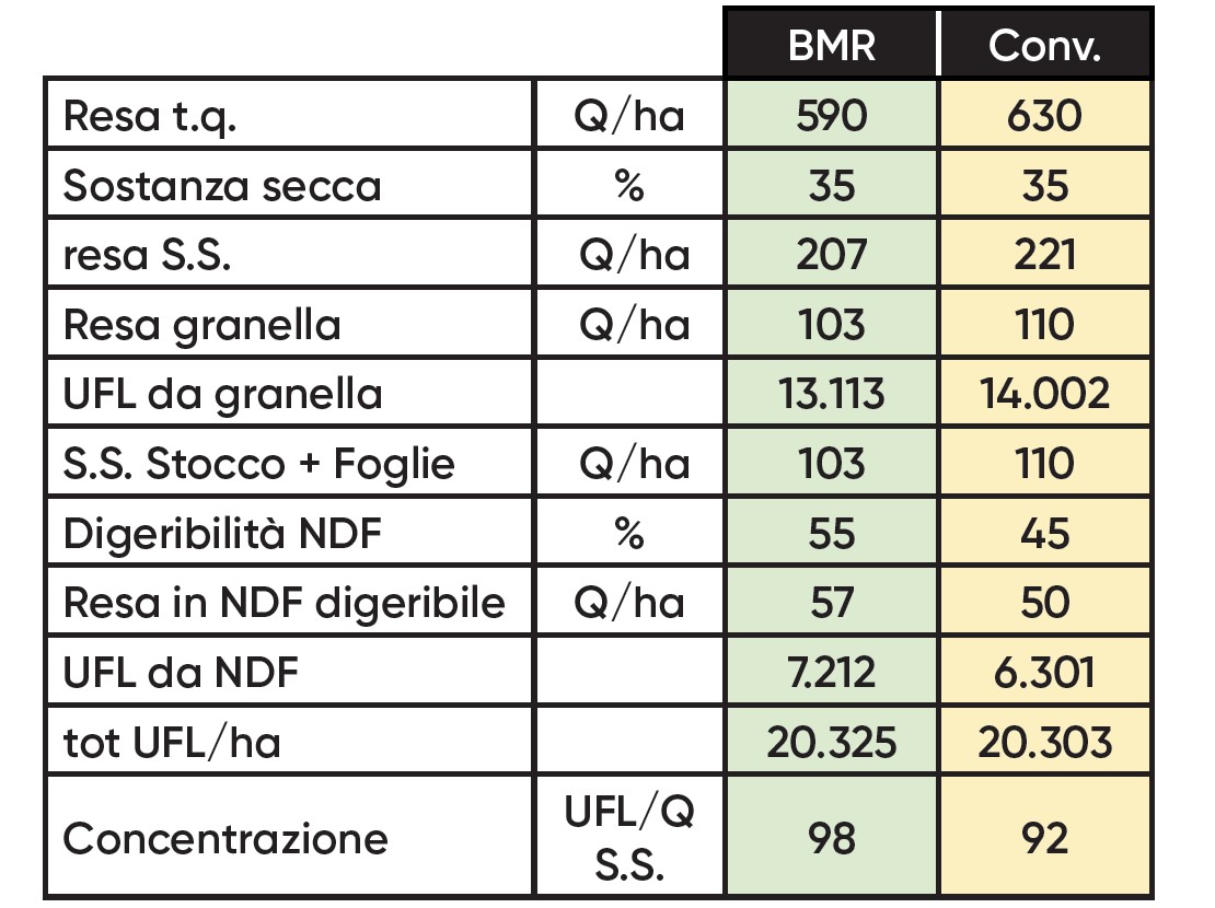 dati analitici sui mais BMR