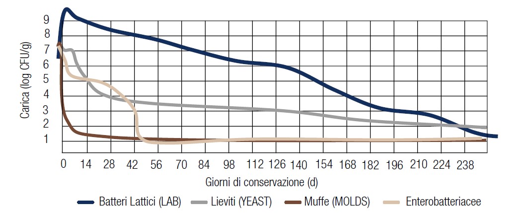 Identificazione e conteggio dei principali microrganismi responsabili del processo di conservazione e della qualità degli insilati.