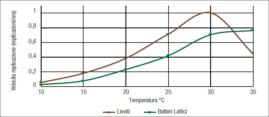Velocità di replicazione oraria di lieviti e batteri lattici in condizioni sperimentali controllate.