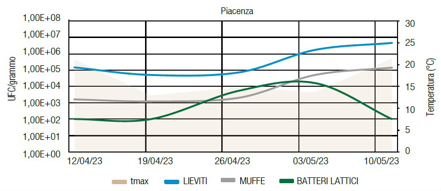 Conta delle Unità formanti colonia per grammo di pianta, prelevato nelle ultime 7 settimane prima della trinciatura. Esempio riferito a una prova condotta a Piacenza