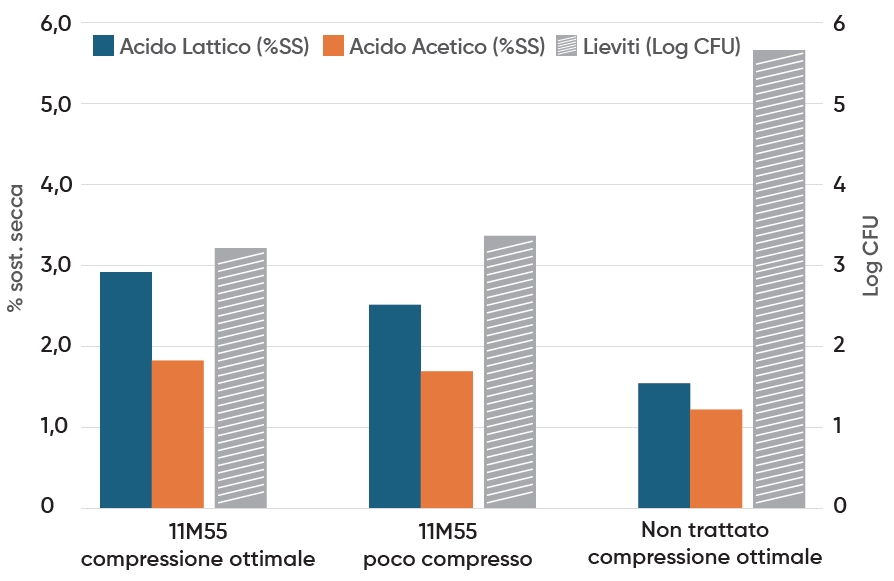 effetto 11M55 su insilati autunno vernini con diversi livelli di compattamento