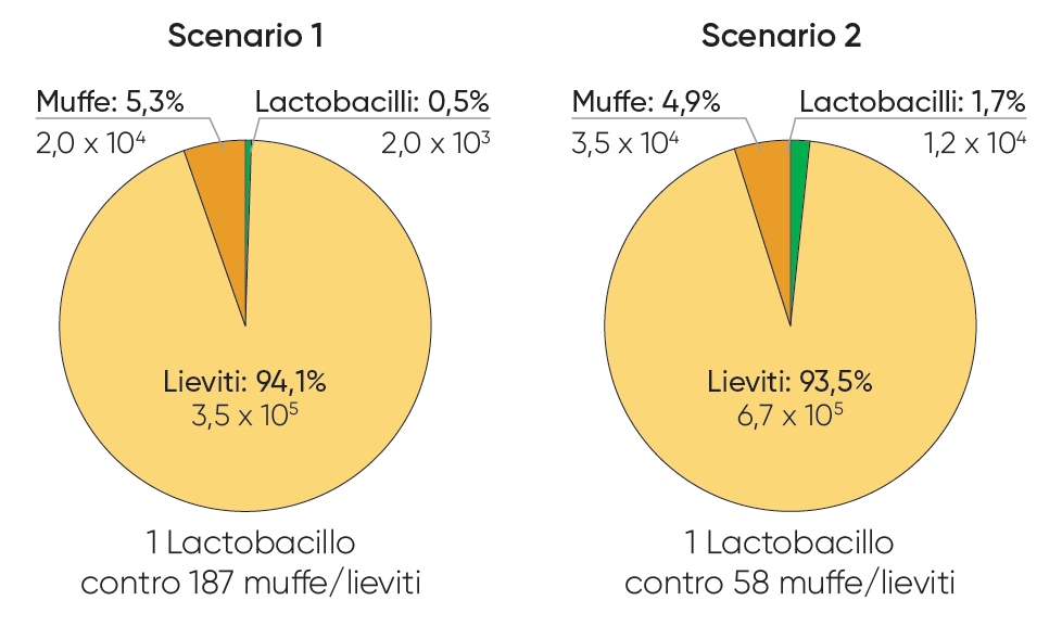 grafici relativi all'andamento della popolazione microbica