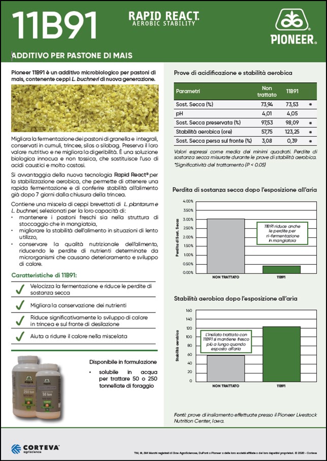 anteprima del volantino 11B91