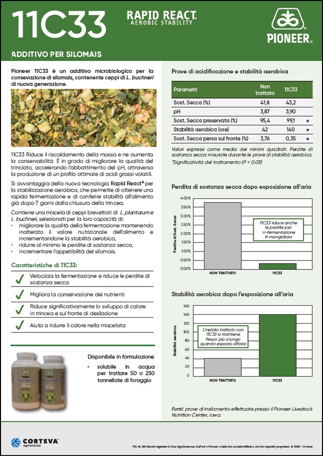 anteprima del volantino dell'additivo 11C33