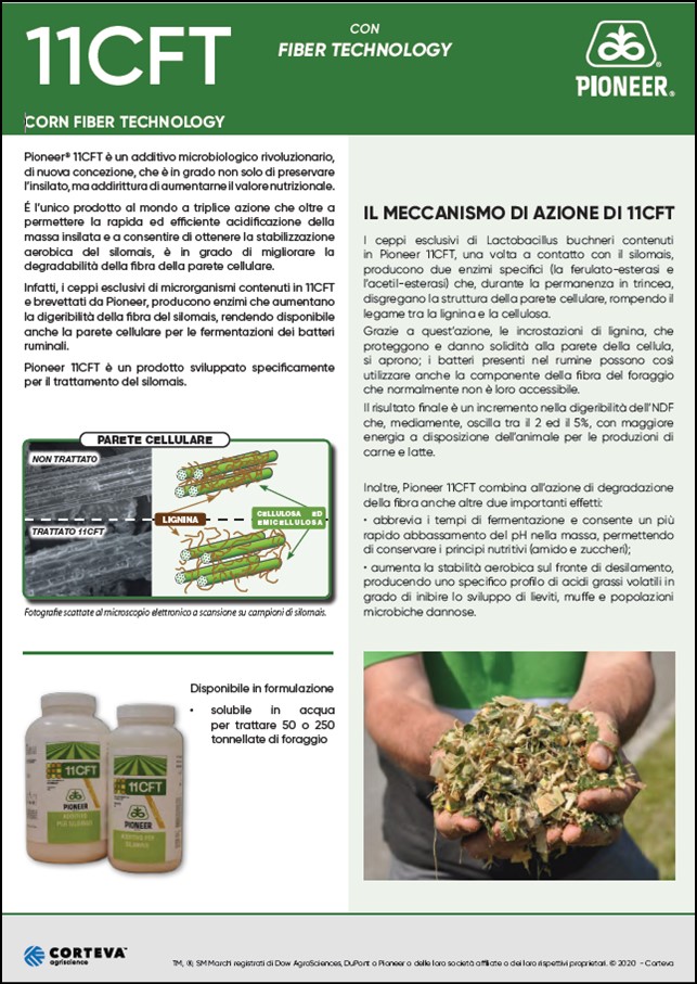 anteprima del volantino sull'additivo 11C33