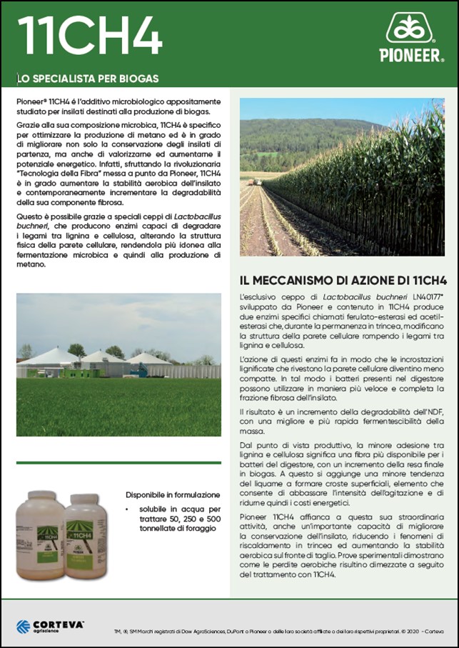 anteprima del volantino dell'additivo 11CH4