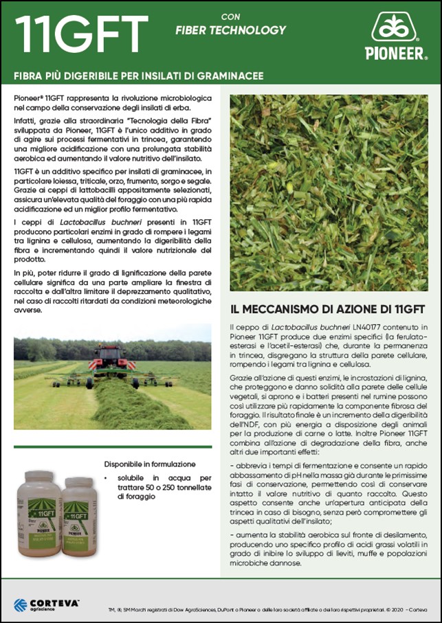 anteprima del volantino dell'additivo microbiologico Pioneer 11GFT