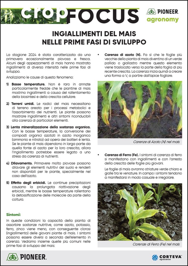 Immagine di anteprima dell'articolo