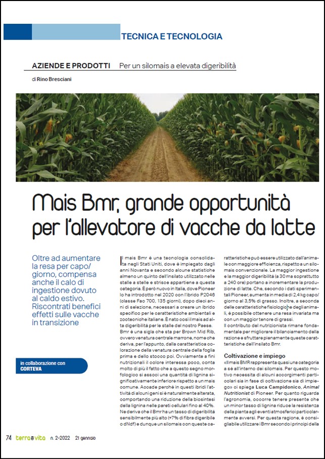 Immagine di anteprima dell'articolo