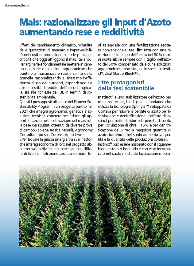 Immagine di anteprima dell'articolo