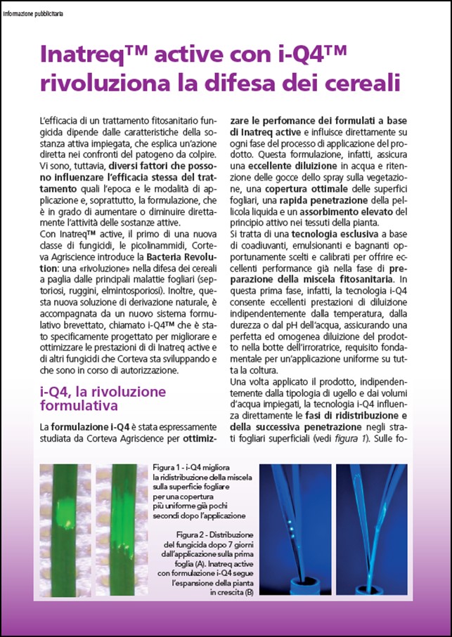 Immagine di anteprima dell'articolo