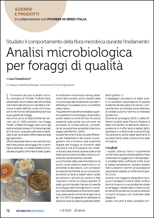 Immagine di anteprima dell'articolo