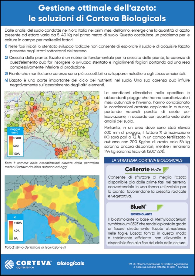 Immagine di anteprima dell'articolo