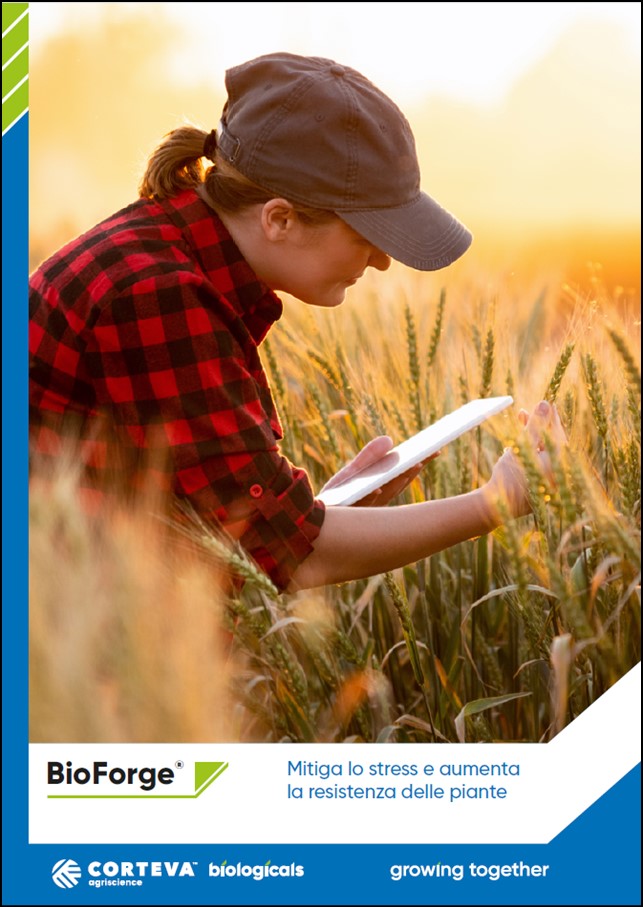 Anteprima della brochure di BioForge per le  colture a seminativo