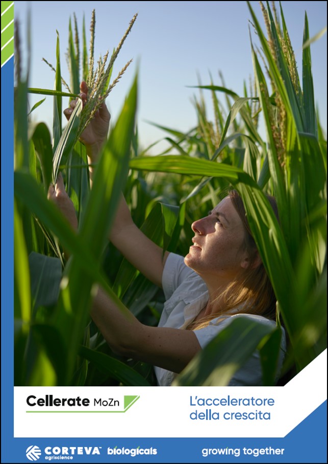 Anteprima della brochure di Cellerate MoZn