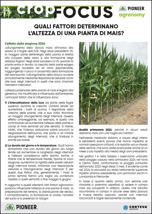 Immagine di anteprima dell'articolo