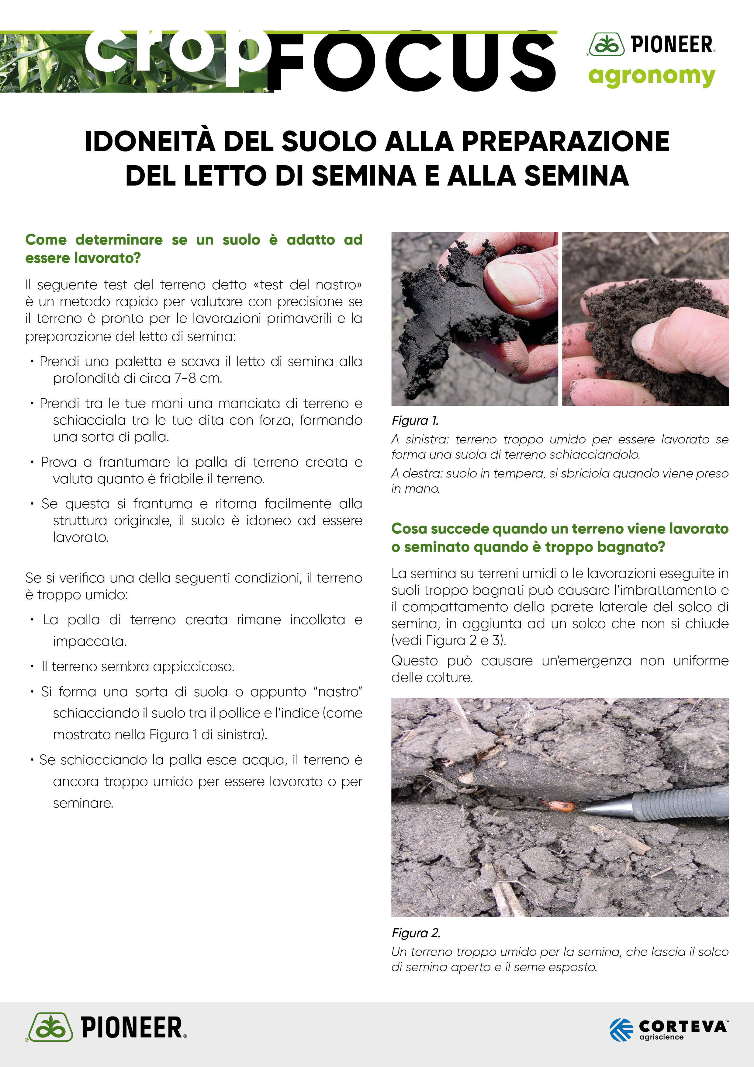 Immagine di anteprima dell'articolo