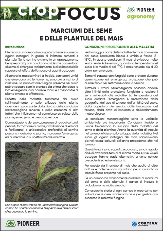 Immagine di anteprima dell'articolo